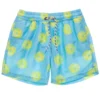 Boys' Lemon Slice Volley Swim Trunk (Toddler, Little Kid, Big Kid)