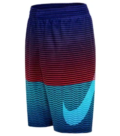 Nike Boys' Horizon Stripe Breaker 8" Volley Swim Trunk (Big Kid)