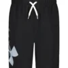 Under Armour Boys' Big Logo Volley Short (Little Kid, Big Kid)