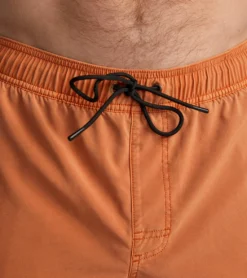 RVCA Men's Va Pigment Elastic Short 17" Trunk -Speede Trendy 7375236497576 cocoa 8a