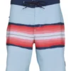 Quiksilver Men's 19" Surfsilk Resin Board Shorts